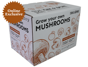 Button Mushroom Grow Kit